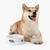 Load image into Gallery viewer, &#39;&#39;Dog of YHWH&#39;&#39; Bowl